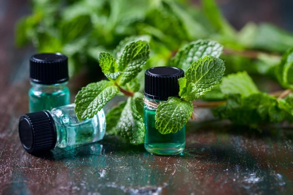 Role of CBD in Internal Medicine A Scientific Overview