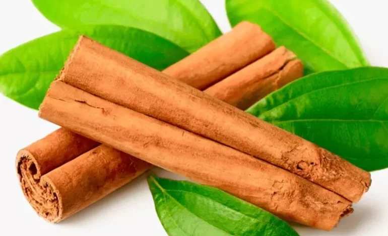 Uses and Health Advantages of Cinnamon Leaves